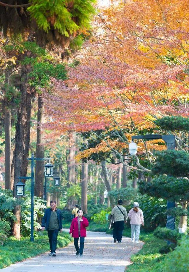 福闵行”也是你我的烟火日常九游会J9入口镜头里的“幸(图7)